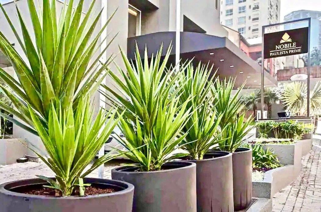 Apartmán Flat Whynd Paulista Al Campinas 540 São Paulo Exteriér fotografie